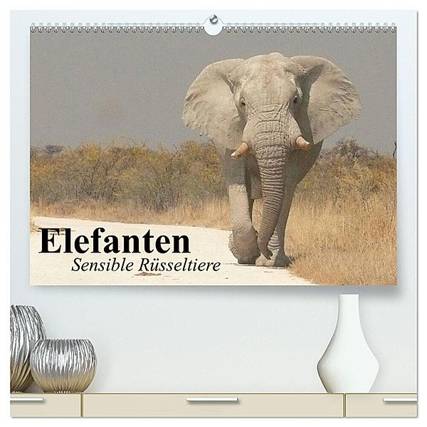 Elefanten. Sensible Rüsseltiere (hochwertiger Premium Wandkalender 2025 DIN A2 quer), Kunstdruck in Hochglanz, Calvendo, Elisabeth Stanzer