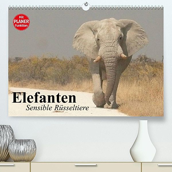 Elefanten. Sensible Rüsseltiere (Premium, hochwertiger DIN A2 Wandkalender 2023, Kunstdruck in Hochglanz), Elisabeth Stanzer