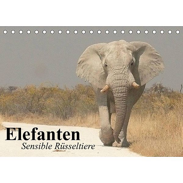Elefanten. Sensible Rüsseltiere (Tischkalender 2023 DIN A5 quer), Elisabeth Stanzer