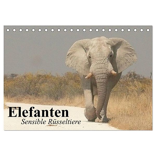 Elefanten. Sensible Rüsseltiere (Tischkalender 2024 DIN A5 quer), CALVENDO Monatskalender, Elisabeth Stanzer