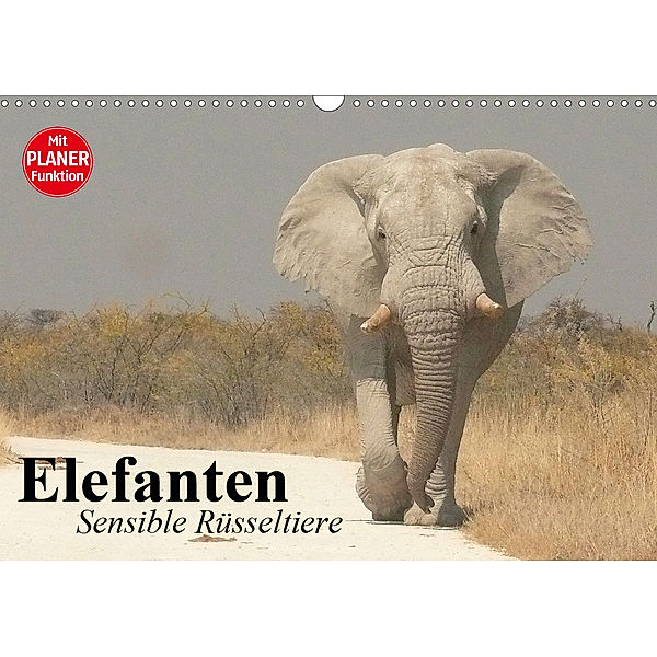 Elefanten. Sensible Rüsseltiere (Wandkalender 2020 DIN A3 quer), Elisabeth Stanzer