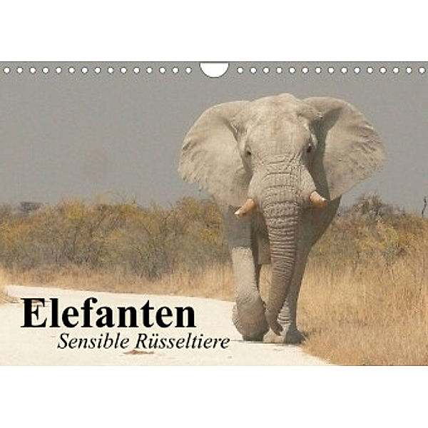 Elefanten. Sensible Rüsseltiere (Wandkalender 2022 DIN A4 quer), Elisabeth Stanzer