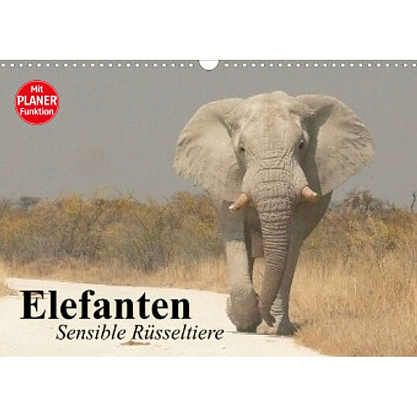 Elefanten. Sensible Rüsseltiere (Wandkalender 2022 DIN A3 quer), Elisabeth Stanzer