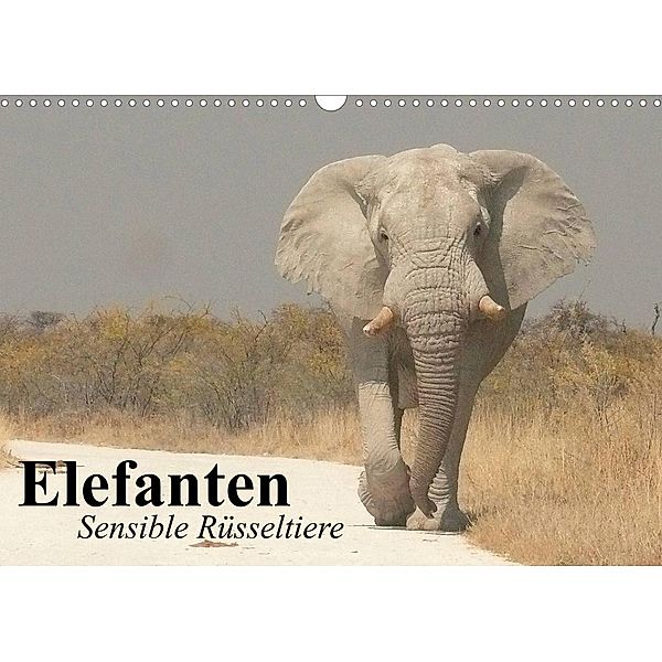 Elefanten. Sensible Rüsseltiere (Wandkalender 2023 DIN A3 quer), Elisabeth Stanzer