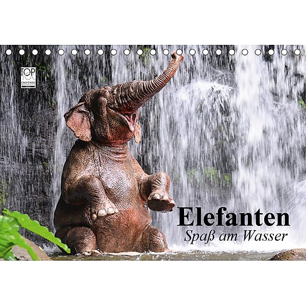 Elefanten. Spaß am Wasser (Tischkalender 2021 DIN A5 quer), Elisabeth Stanzer