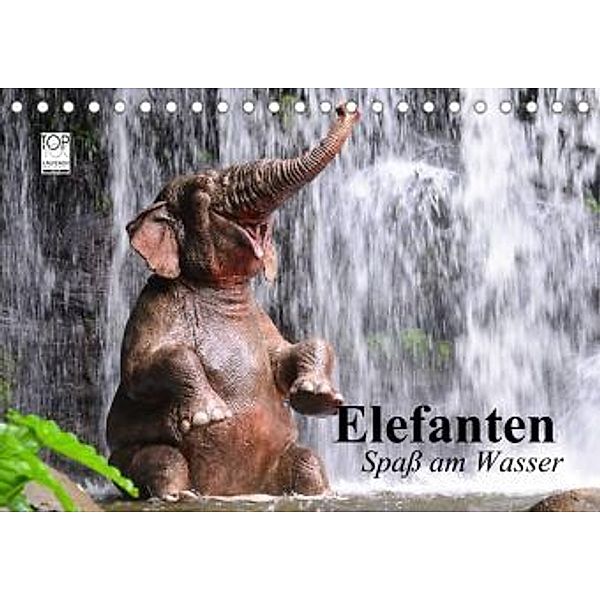 Elefanten. Spaß am Wasser (Tischkalender 2022 DIN A5 quer), Elisabeth Stanzer