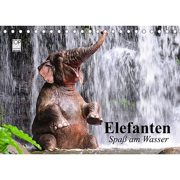 Elefanten. Spaß am Wasser (Tischkalender 2023 DIN A5 quer), Elisabeth Stanzer