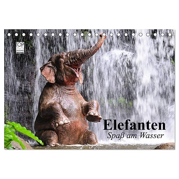 Elefanten. Spaß am Wasser (Tischkalender 2025 DIN A5 quer), CALVENDO Monatskalender, Calvendo, Elisabeth Stanzer