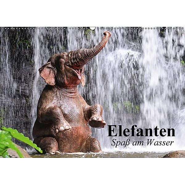 Elefanten. Spaß am Wasser (Wandkalender 2017 DIN A2 quer), Elisabeth Stanzer