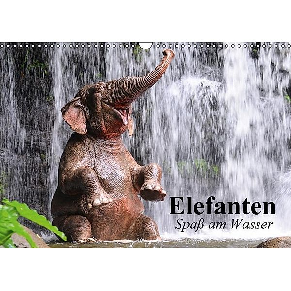 Elefanten. Spaß am Wasser (Wandkalender 2017 DIN A3 quer), Elisabeth Stanzer