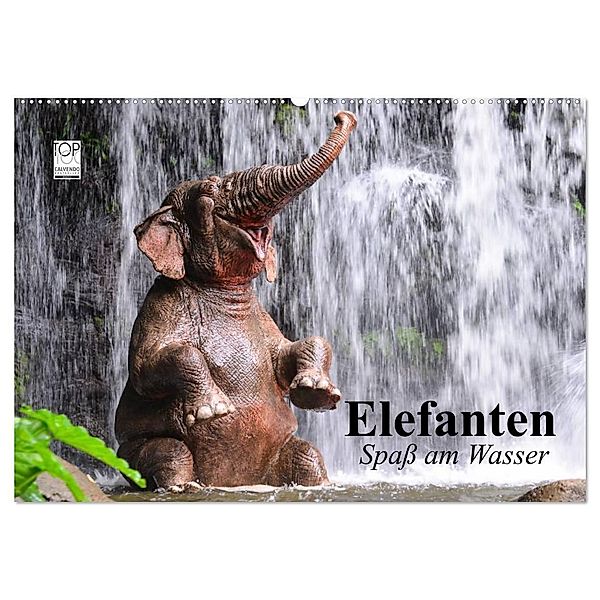 Elefanten. Spaß am Wasser (Wandkalender 2025 DIN A2 quer), CALVENDO Monatskalender, Calvendo, Elisabeth Stanzer