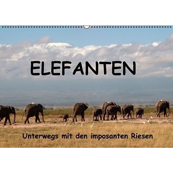 Elefanten - Unterwegs mit den imposanten Riesen (Wandkalender 2016 DIN A2 quer), Susan Michel