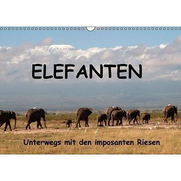 Elefanten - Unterwegs mit den imposanten Riesen (Wandkalender 2016 DIN A3 quer), Susan Michel