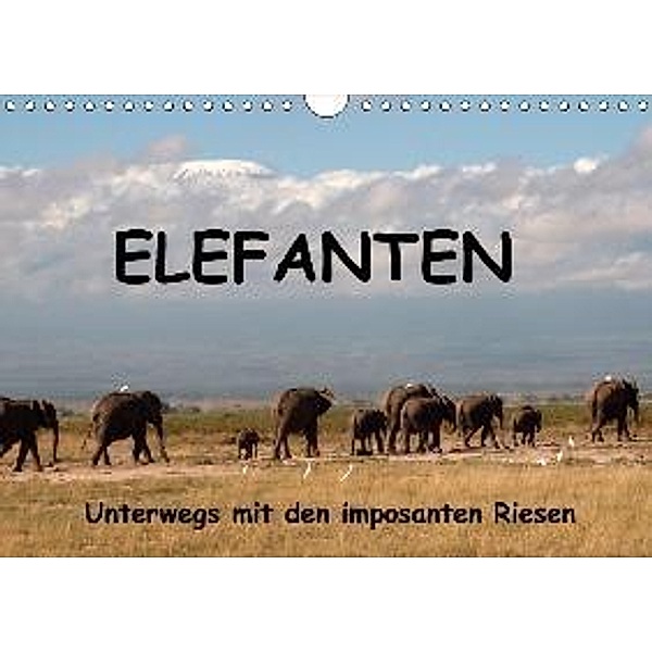 Elefanten - Unterwegs mit den imposanten Riesen (Wandkalender 2017 DIN A4 quer), Susan Michel