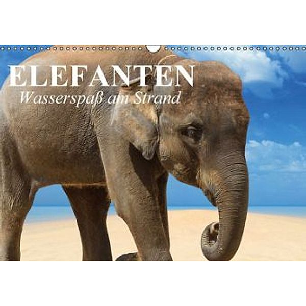 Elefanten Wasserspaß am Strand / Geburtstagskalender (Wandkalender 2015 DIN A3 quer), Elisabeth Stanzer
