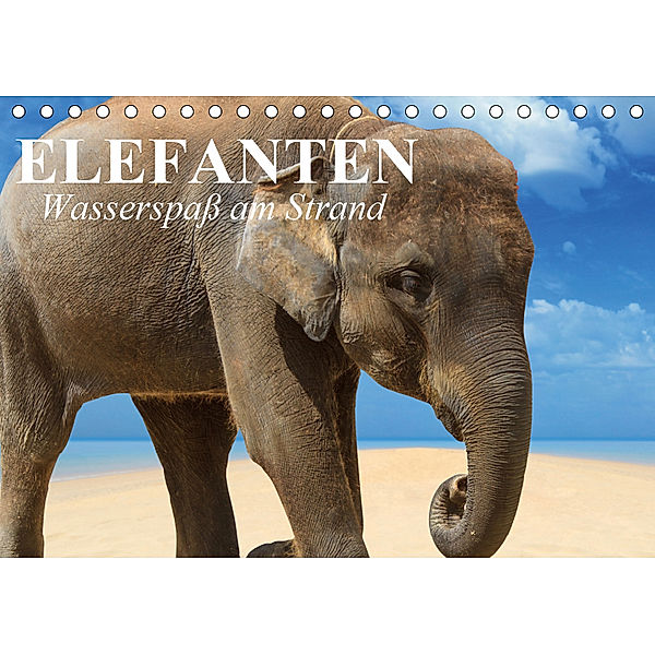 Elefanten - Wasserspaß am Strand (Tischkalender 2019 DIN A5 quer), Elisabeth Stanzer