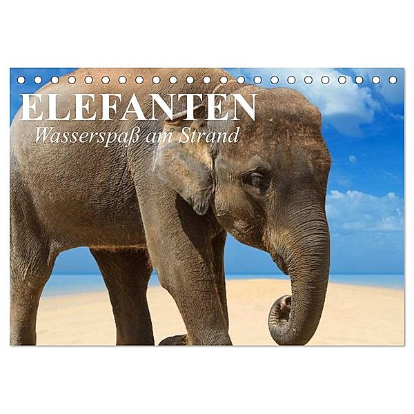 Elefanten - Wasserspass am Strand (Tischkalender 2024 DIN A5 quer), CALVENDO Monatskalender, Elisabeth Stanzer