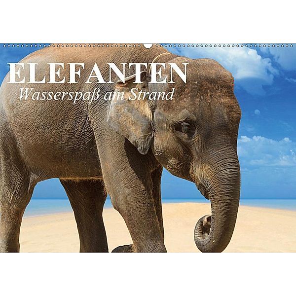 Elefanten - Wasserspaß am Strand (Wandkalender 2020 DIN A2 quer), Elisabeth Stanzer