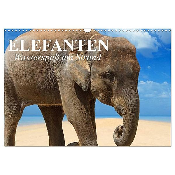 Elefanten - Wasserspaß am Strand (Wandkalender 2024 DIN A3 quer), CALVENDO Monatskalender, Elisabeth Stanzer