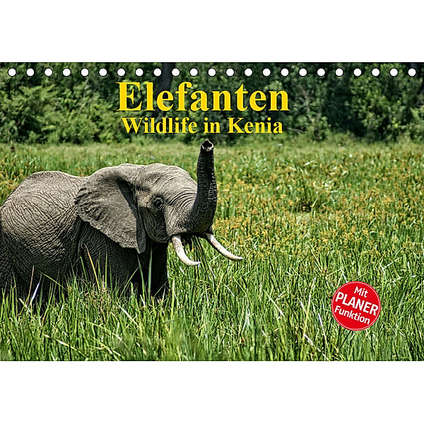 Elefanten . Wildlife in Kenia (Tischkalender 2019 DIN A5 quer), Susan Michel