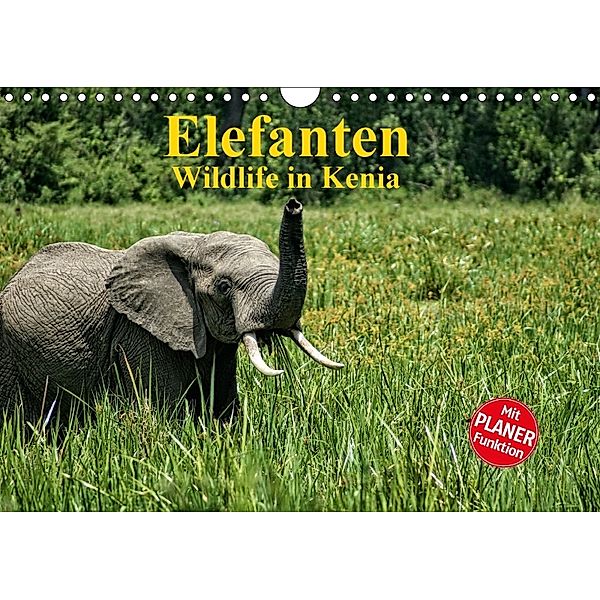 Elefanten . Wildlife in Kenia (Wandkalender 2018 DIN A4 quer), Susan Michel