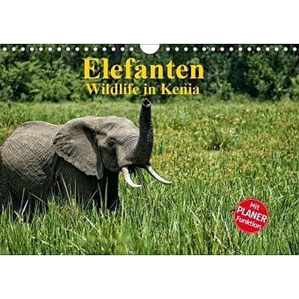 Elefanten . Wildlife in Kenia (Wandkalender 2020 DIN A4 quer), Susan Michel