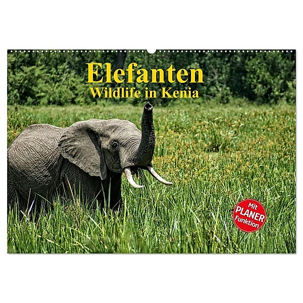 Elefanten . Wildlife in Kenia (Wandkalender 2024 DIN A2 quer), CALVENDO Monatskalender, Susan Michel