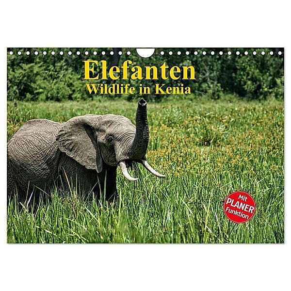 Elefanten . Wildlife in Kenia (Wandkalender 2024 DIN A4 quer), CALVENDO Monatskalender, Susan Michel