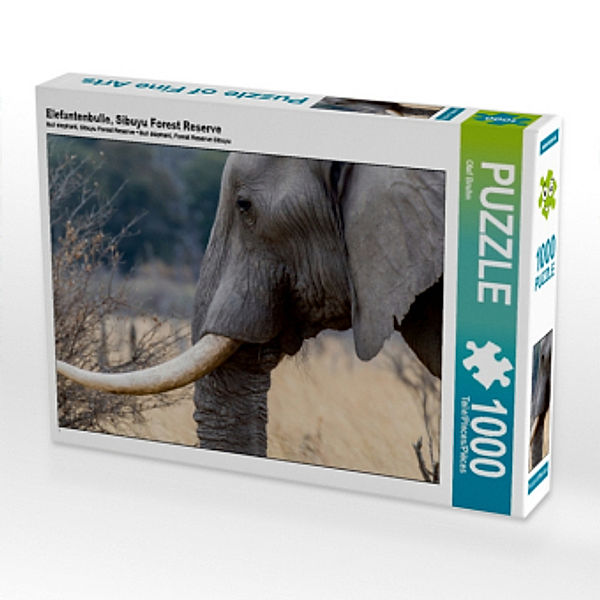 Elefantenbulle, Sibuyu Forest Reserve (Puzzle), Olaf Bruhn