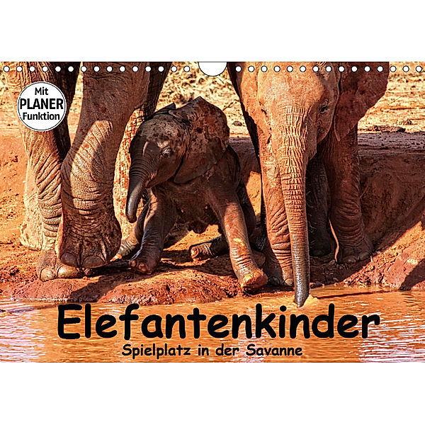 Elefantenkinder. Spielplatz in der Savanne (Wandkalender 2019 DIN A4 quer), Susan Michel