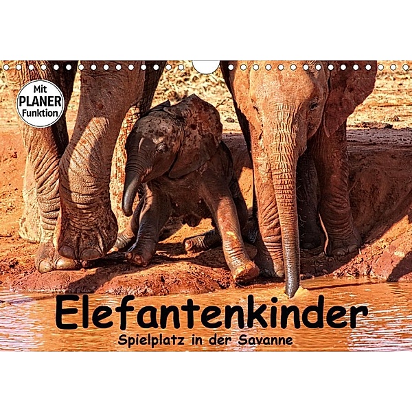 Elefantenkinder. Spielplatz in der Savanne (Wandkalender 2020 DIN A4 quer), Susan Michel