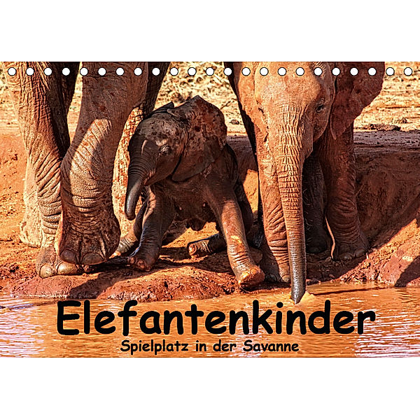 Elefantenkinder. Spielplatz Savanne (Tischkalender 2019 DIN A5 quer), Susan Michel