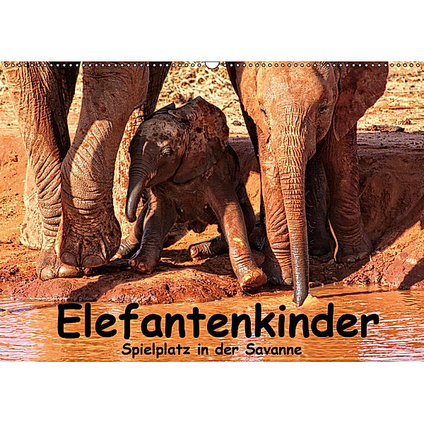 Elefantenkinder. Spielplatz Savanne (Wandkalender 2019 DIN A2 quer), Susan Michel