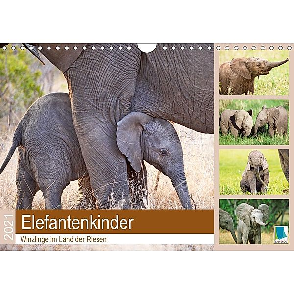 Elefantenkinder: Winzlinge im Land der Riesen (Wandkalender 2021 DIN A4 quer), Calvendo