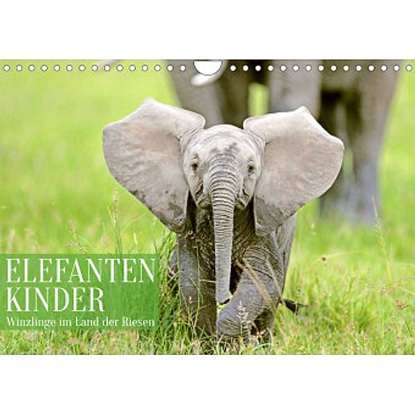 Elefantenkinder: Winzlinge im Land der Riesen (Wandkalender 2022 DIN A4 quer), Calvendo