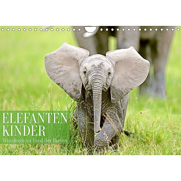 Elefantenkinder: Winzlinge im Land der Riesen (Wandkalender 2023 DIN A4 quer), Calvendo