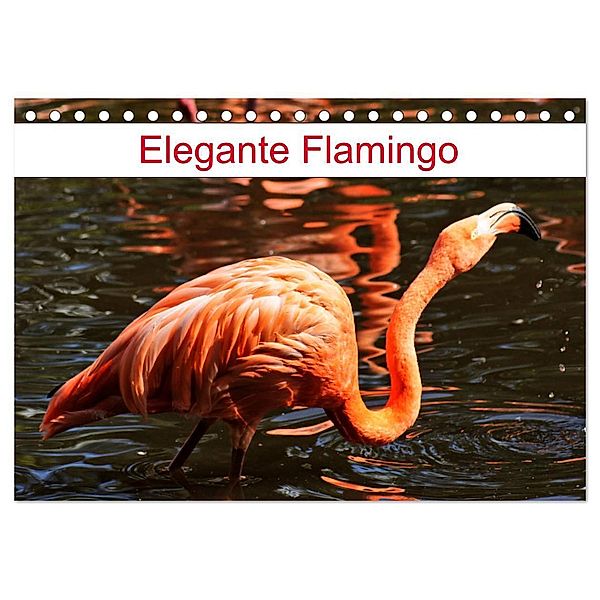 Elegante Flamingo (Tischkalender 2024 DIN A5 quer), CALVENDO Monatskalender, Kattobello