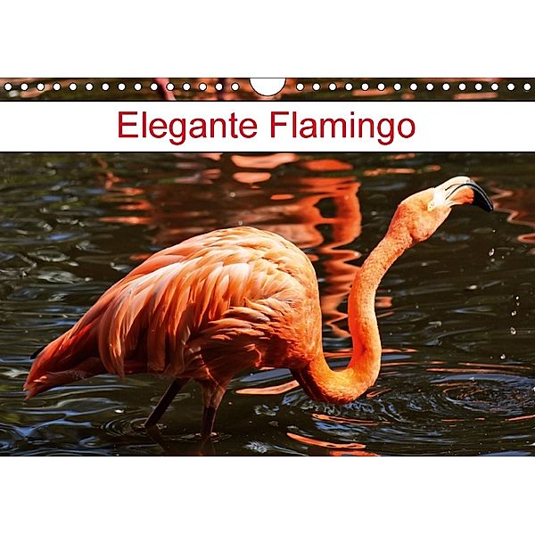 Elegante Flamingo (Wandkalender 2018 DIN A4 quer), Kattobello