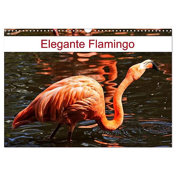 Elegante Flamingo (Wandkalender 2024 DIN A3 quer), CALVENDO Monatskalender, Kattobello