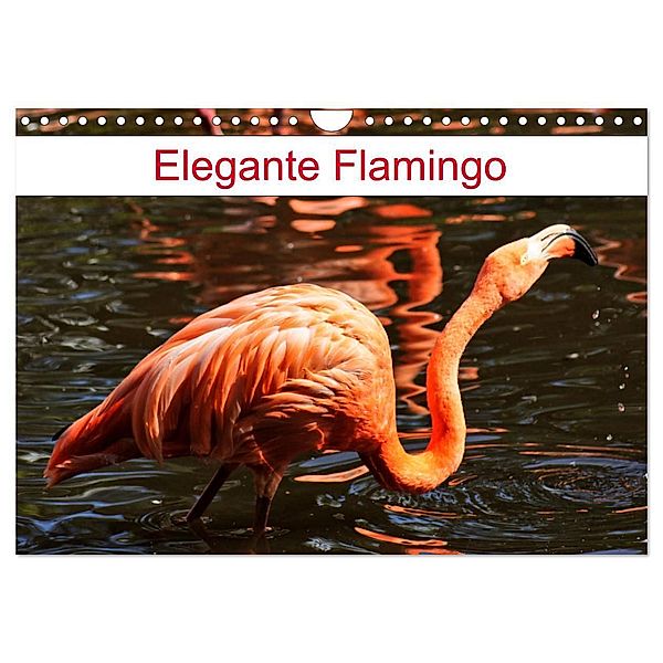 Elegante Flamingo (Wandkalender 2024 DIN A4 quer), CALVENDO Monatskalender, Kattobello