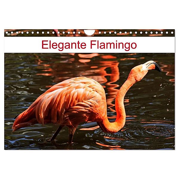 Elegante Flamingo (Wandkalender 2025 DIN A4 quer), CALVENDO Monatskalender, Calvendo, Kattobello