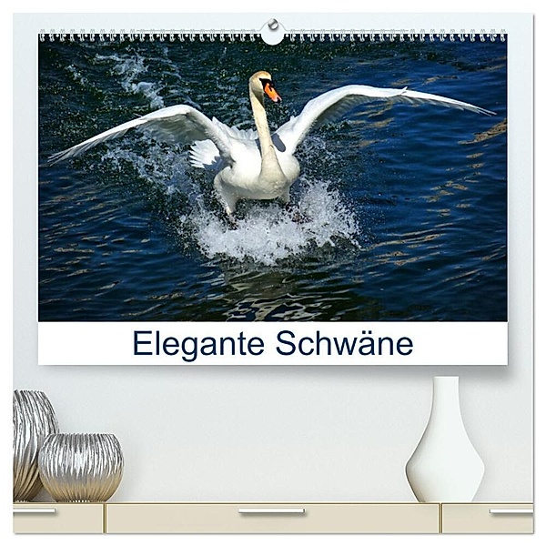 Elegante Schwäne (hochwertiger Premium Wandkalender 2024 DIN A2 quer), Kunstdruck in Hochglanz, Kattobello