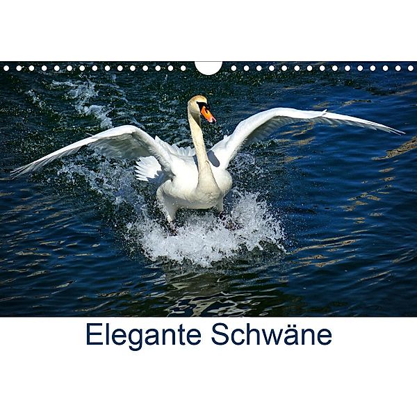 Elegante Schwäne (Wandkalender 2020 DIN A4 quer)