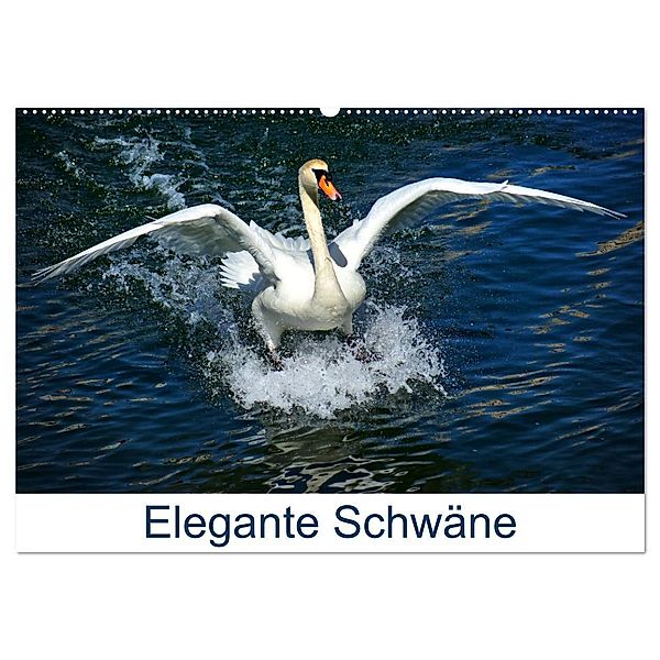 Elegante Schwäne (Wandkalender 2024 DIN A2 quer), CALVENDO Monatskalender, Kattobello