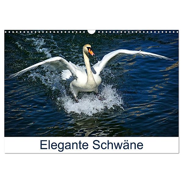 Elegante Schwäne (Wandkalender 2024 DIN A3 quer), CALVENDO Monatskalender, Kattobello