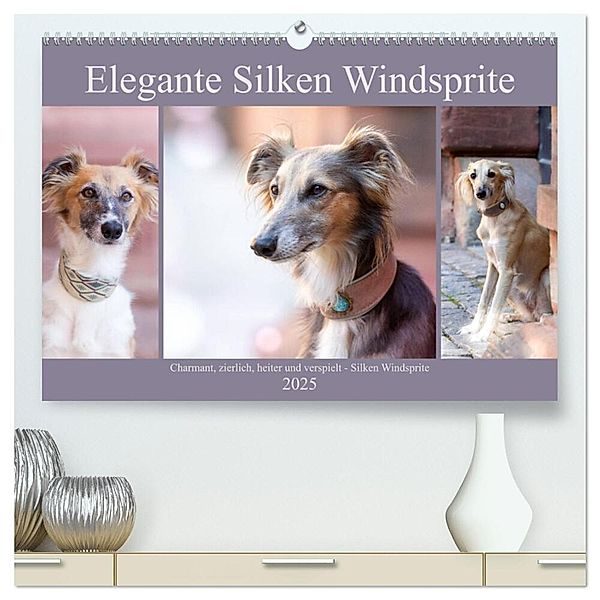 Elegante Silken Windsprite (hochwertiger Premium Wandkalender 2025 DIN A2 quer), Kunstdruck in Hochglanz, Calvendo, Fotodesign Verena Scholze