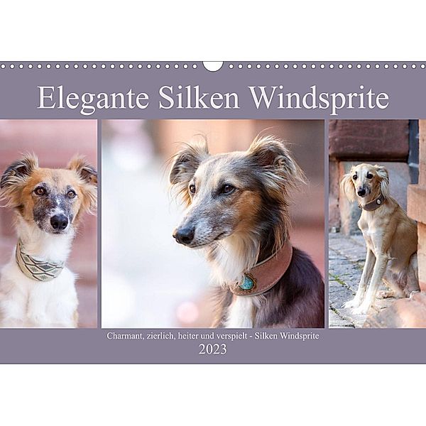 Elegante Silken Windsprite (Wandkalender 2023 DIN A3 quer), Fotodesign Verena Scholze