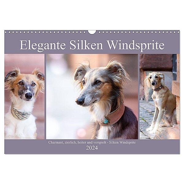 Elegante Silken Windsprite (Wandkalender 2024 DIN A3 quer), CALVENDO Monatskalender, Fotodesign Verena Scholze