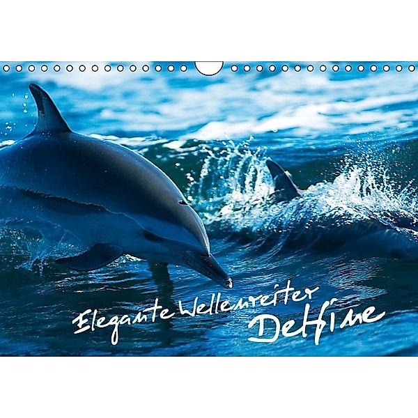 Elegante Wellenreiter: Delfine (Wandkalender 2014 DIN A4 quer)