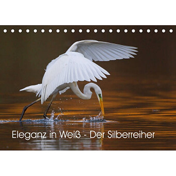 Eleganz in Weiß - Der Silberreiher (Tischkalender 2022 DIN A5 quer), Wilfried Martin